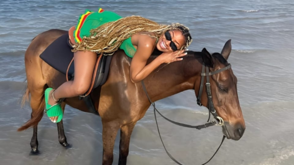 HORSE BACK RIDING - Image 6
