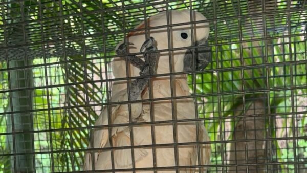 BIRD SANCTUARY