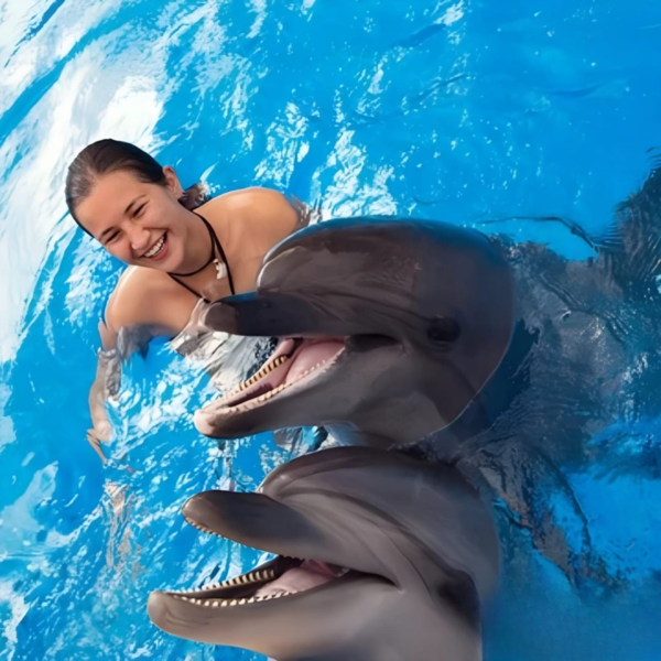 DOLPHINS COVE - Image 2