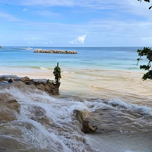 DUNN'S RIVER FALLS - Image 2